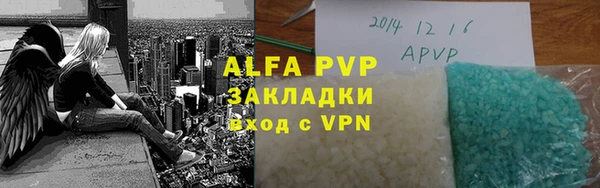 стаф Аркадак