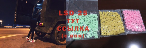 стаф Аркадак