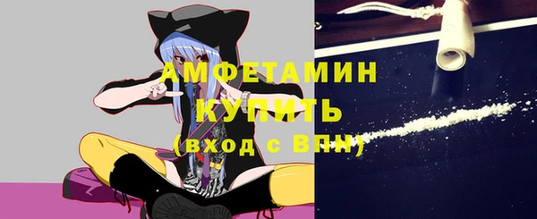 стаф Аркадак