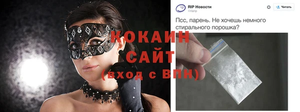 стаф Аркадак