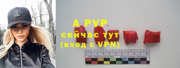 стаф Аркадак