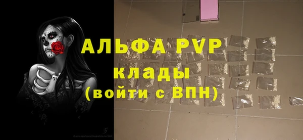 стаф Аркадак