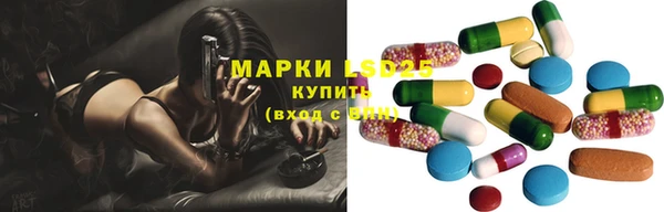 прущие грибы Армянск