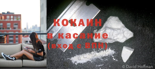 прущие грибы Армянск