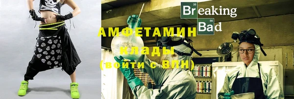прущие грибы Армянск