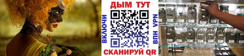 omg зеркало  Теберда  Марихуана сатива  сколько стоит 